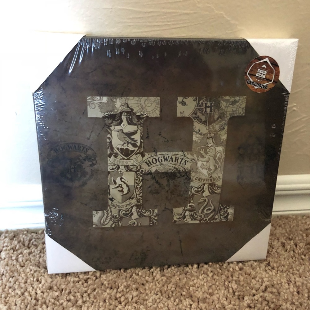 Harry Potter Canvas Print